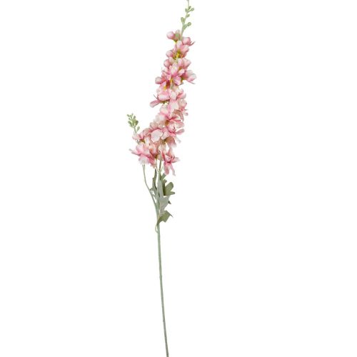 Szarkaláb szálas fehér-pink M85cm 36db/#