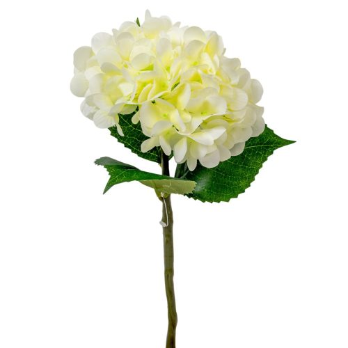 Hortenzia szálas fehér M32cm 36db/#