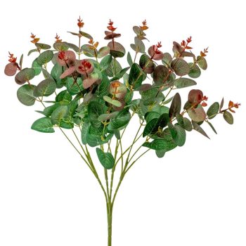 Eukaliptusz bokor 4ágú M50cm 12db/#