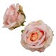 Rózsa virágfej rózsaszín D10cm 12db/csom