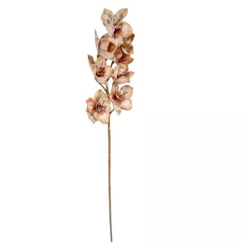 Orchidea ág M86cm
