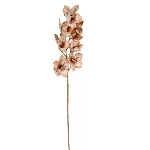 Orchidea ág M86cm