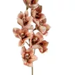 Orchidea ág M86cm