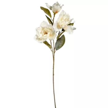 Magnólia ág krém 3v. M80cm 24db/#