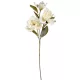 Magnólia ág krém 3v. M80cm 24db/#