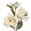 Magnólia ág krém 3v. M80cm 24db/#
