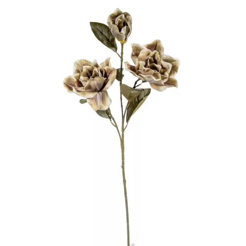 Magnólia ág 3v. M80cm
