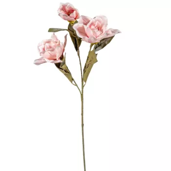 Magnólia ág 3v. M80cm
