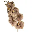 Orchidea ág M90cm