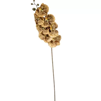 Orchidea ág M90cm