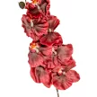 Orchidea ág M90cm