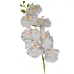 Orchidea ág fehér M91cm 12db/#