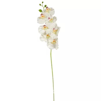 Orchidea ág fehér-zöld M91cm 12db/#