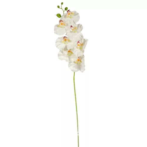 Orchidea ág fehér-zöld M91cm 12db/#