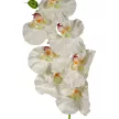 Orchidea ág fehér-zöld M91cm 12db/#