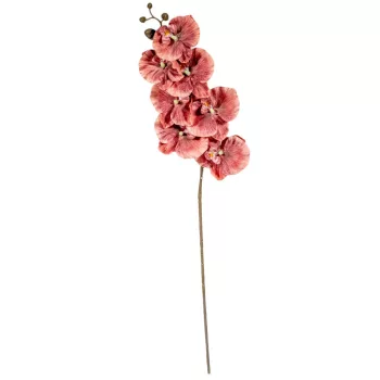 Orchidea ág M90cm