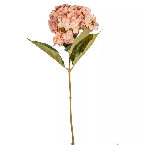 Hortenzia szálas M66cm 12db/#