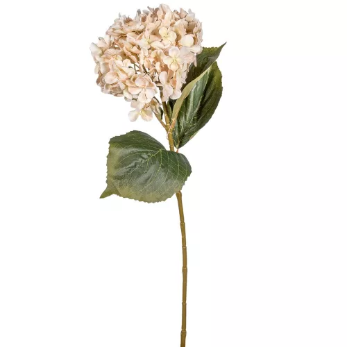 Hortenzia szálas M66cm 12db/#