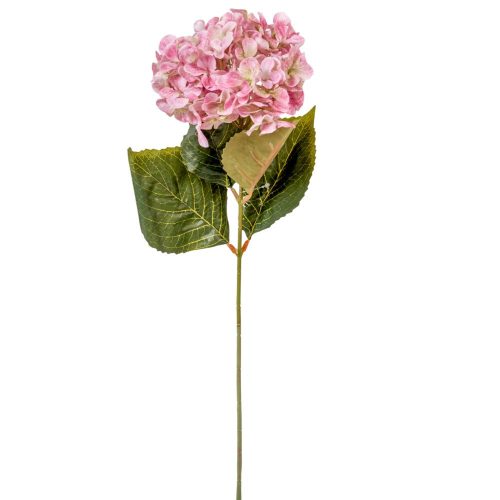 Hortenzia szálas mályva M60cm 24db/#