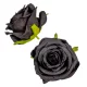 Nyílt rózsafej D7cm BLC 12db/csom