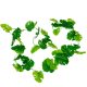 Philo leveles girland 35 leveles 210cm