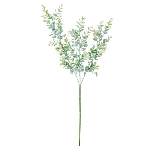 Eukaliptusz ág M67cm 50db/#