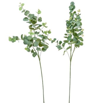 Eukaliptusz ág M92cm 48db/#