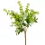Zöld bokor 5 ágú 36cm