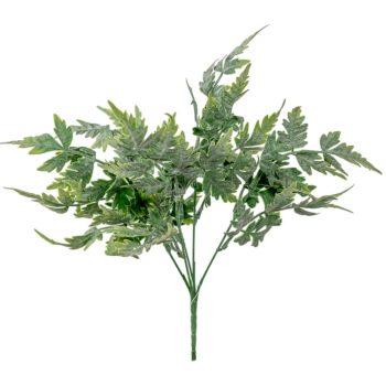 Páfrány bokor hamvas 5 ágú 36cm