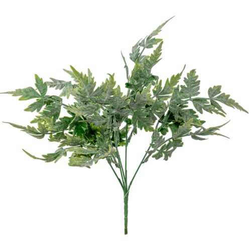 Páfrány bokor hamvas 5 ágú 36cm