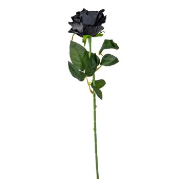 Rózsa szálas bársony fekete 50cm