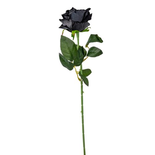 Rózsa szálas bársony fekete 50cm