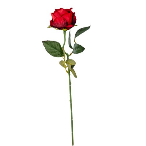 Rózsa szálas bársony piros 50cm