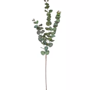 Eukaliptusz ág 3 ágú M87cm 96db/#