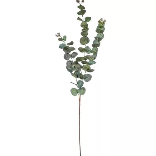 Eukaliptusz ág 3 ágú M87cm 96db/#