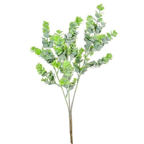 Eukaliptusz bokor M56cm 48db/#