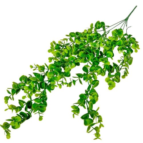 Eukaliptusz futó 5ágú 75cm 24db/#