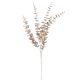Eukaliptusz ág 5ágú pezsgő M85cm 24db/#