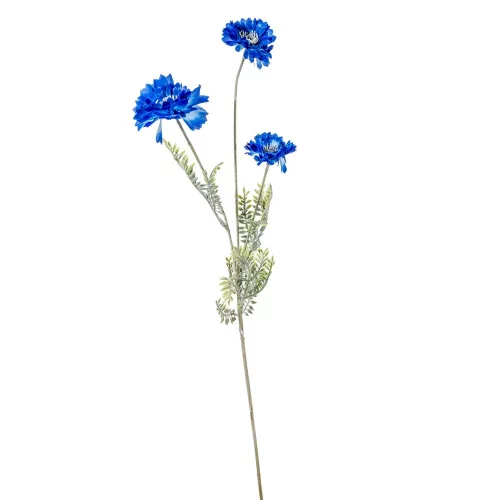 Búzavirág szálas M72cm 48db/#