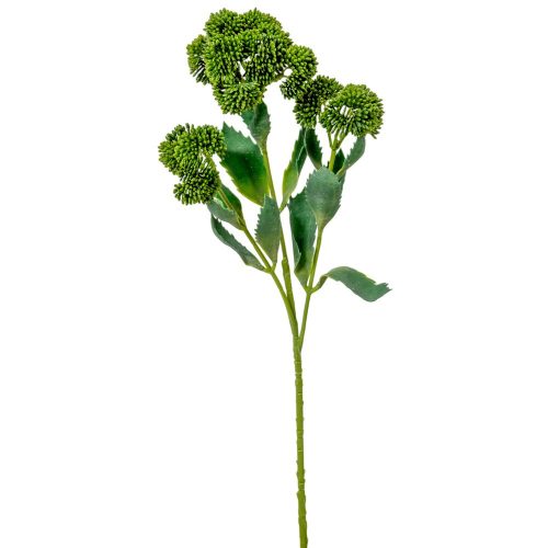 Pozsgás ág 3ágú M50cm 12db/#