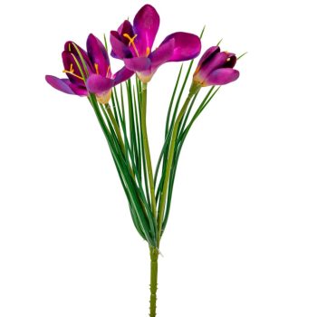 Krókusz  3v. lila M35cm 24db/#