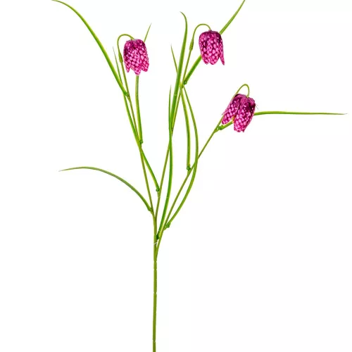 Hóvirág 3 virágos lila 55cm