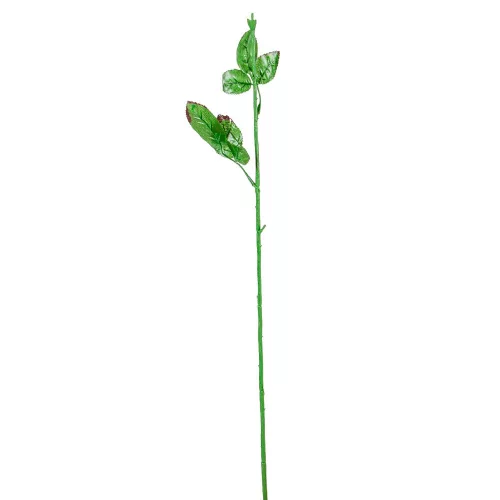 Rózsa virágszár M60cm 10db/köteg 280db/#