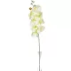 Orchidea szálas hamvas krém M90cm 36db/#