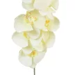 Orchidea szálas hamvas krém M90cm 36db/#