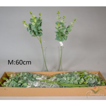Eukaliptusz ág M60cm 48db/#