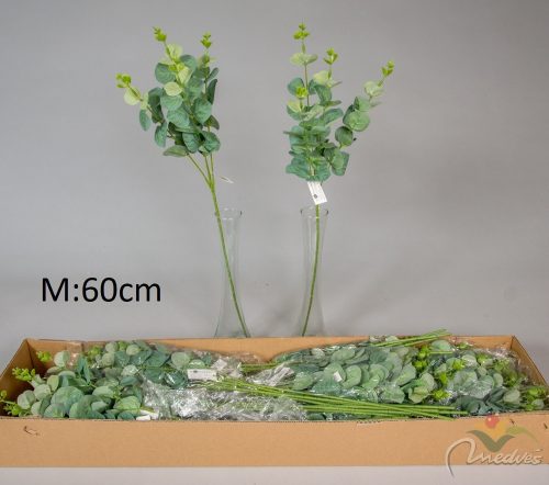 Eukaliptusz ág M60cm 48db/#
