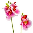 Orchidea ág levéllel gumi rózsaszín 48cm