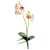 Orchidea ág levéllel gumi fehér-rózsaszín 48cm