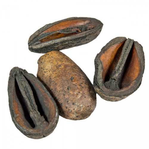 Mike szárított fekete 30dkg/csom